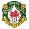 Welsh Football League First Division