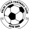 Delhi Tigers