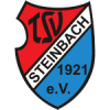 TSV Steinbach II