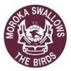 Moroka Swallows