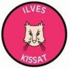 FC Ilves-Kissat