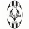 FC Jyvaskyla Blackbird