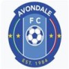 Avondale FC