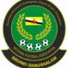 Brunei Darussalam U19