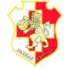 Naxxar Lions