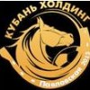 FK Kuban Kholding