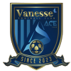 Sejong Vanesse FC