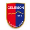 Gelbison