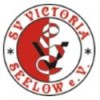 SV Victoria Seelow