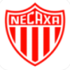 Necaxa II