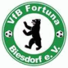 Vfb Fortuna Biesdorf