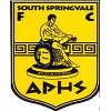 South Springvale SC