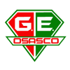 Gremio Osasco Youth