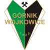 Gornik Wojkowice