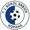 TJ Sokol Srbice