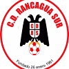 CD Rancagua Sur