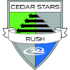 Cedar star