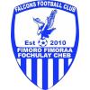 Falcons FC