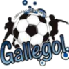 CD Gallegol S.A.S.