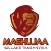 Mashujaa FC