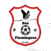 Sua Flamingoes