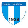 Sokol Nespeky