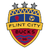 Flint City AFC Nữ