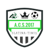 ACS 2017 Slatina Timis