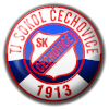 Sokol Cechovice