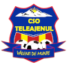 CSO Teleajenul Valeni de Munte