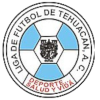 Liga de Futbol de Tehuacan