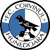 CS Corvinul Hunedoara U19